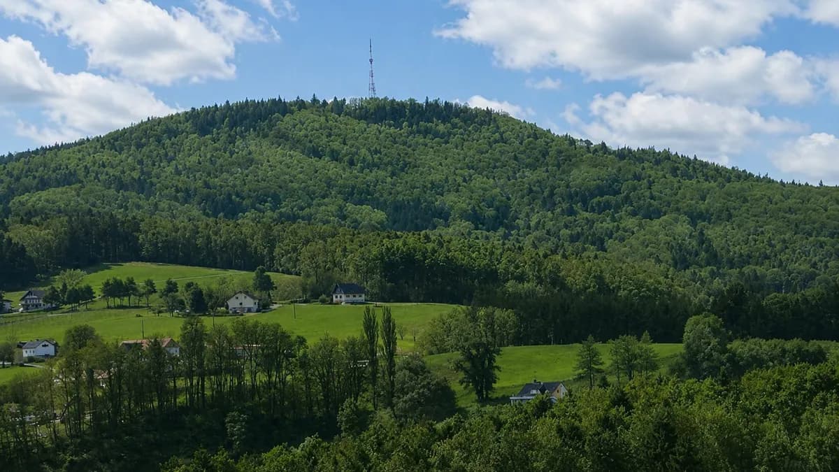 8-Zimmer-Gewerbeimmobilie kaufen in Südoststeiermark – 156 m², € 298.000 – Bild 16 von 51