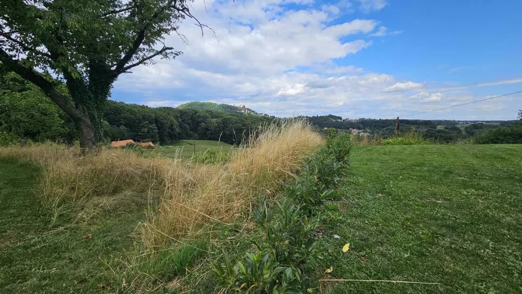 8-Zimmer-Gewerbeimmobilie kaufen in Südoststeiermark – 156 m², € 298.000 – Bild 38 von 51