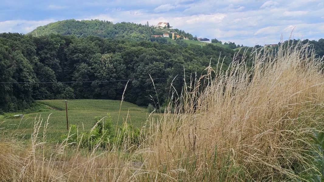 8-Zimmer-Gewerbeimmobilie kaufen in Südoststeiermark – 156 m², € 298.000 – Bild 40 von 51
