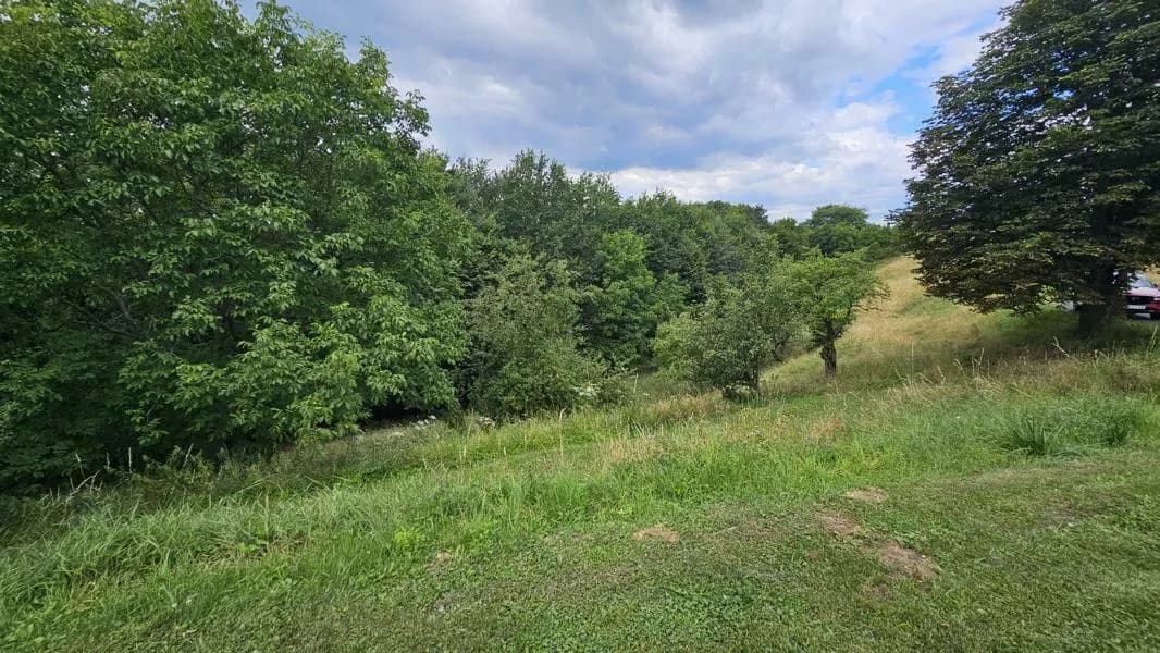 8-Zimmer-Gewerbeimmobilie kaufen in Südoststeiermark – 156 m², € 298.000 – Bild 41 von 51