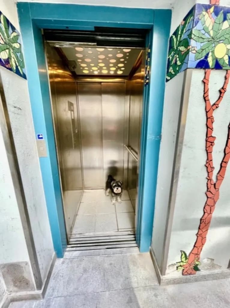 3-Zimmer-Wohnung kaufen in Wien – 131 m², € 1.100.000 – Bild 10 von 39