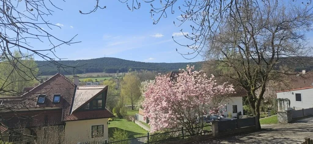 Grundstück kaufen in Wiener Neustadt Land – 2 209 m², € 265.000 – Bild 5 von 10