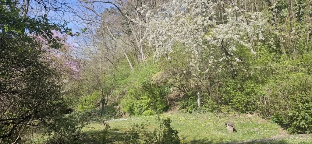 Grundstück kaufen in Wiener Neustadt Land – 2 209 m², € 265.000 – Bild 7 von 10
