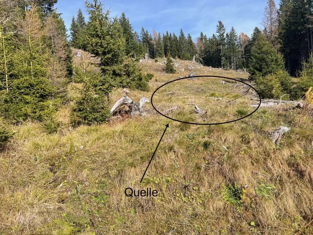 Immobilie kaufen in Murau – 199 955 m², € 299.000 – Bild 7 von 7