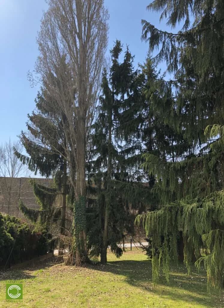 Grundstück kaufen in Mödling – 1 037 m², € 690.000 – Bild 8 von 9