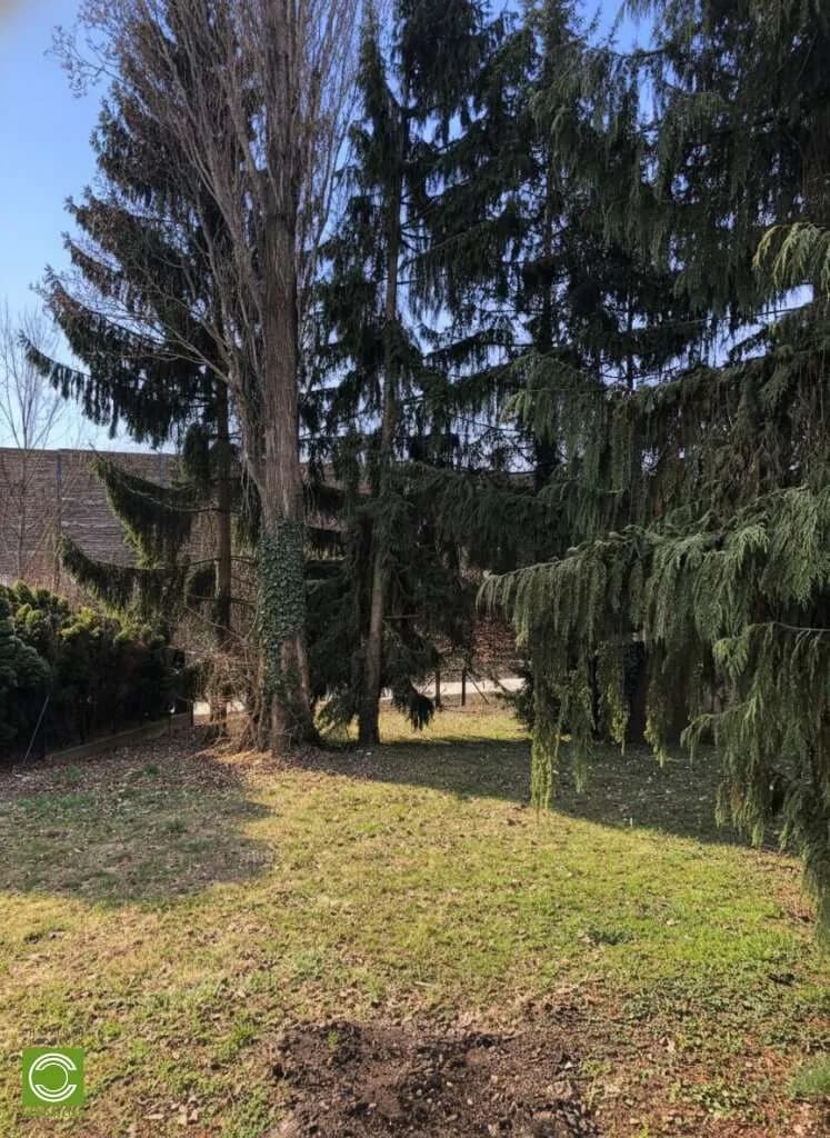 Grundstück kaufen in Mödling – 1 037 m², € 690.000 – Bild 9 von 9