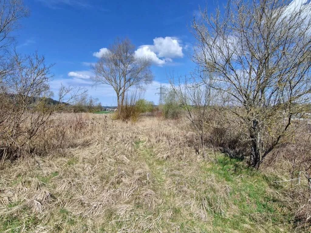 Immobilie kaufen in Vöcklabruck – 8 700 m², € 1.305.000 – Bild 7 von 10