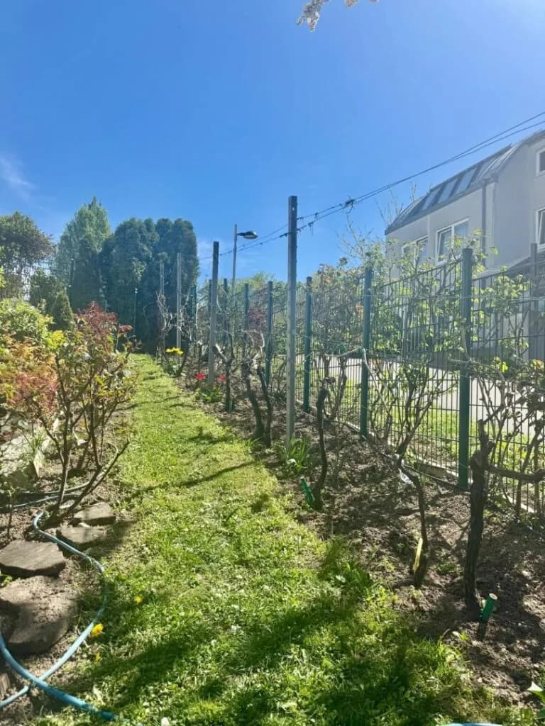 4-Zimmer-Wohnung kaufen in Wien – 140 m², € 1.230.000 – Bild 13 von 17