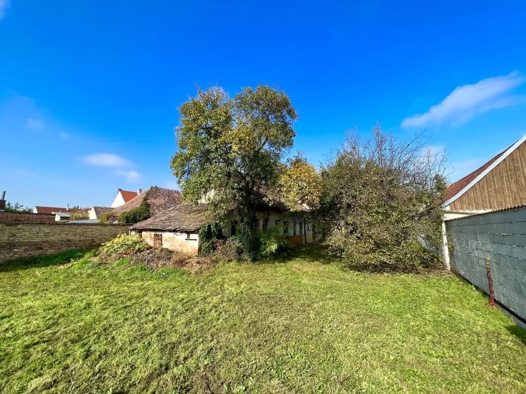 Haus kaufen in Hollabrunn – 827 m² – Bild 3 von 7