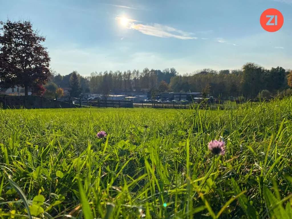 Grundstück kaufen in Linz Land – 1 080 m², € 385.000 – Bild 5 von 11