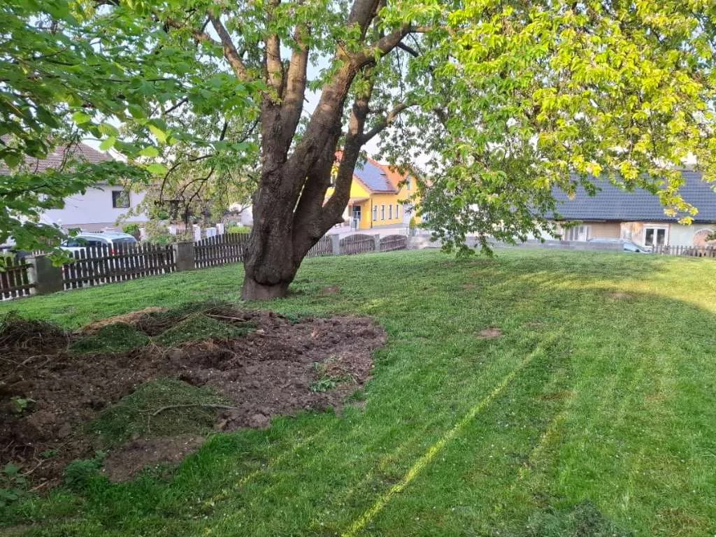 Grundstück kaufen in Hollabrunn – 412 m², € 92.000 – Bild 8 von 13