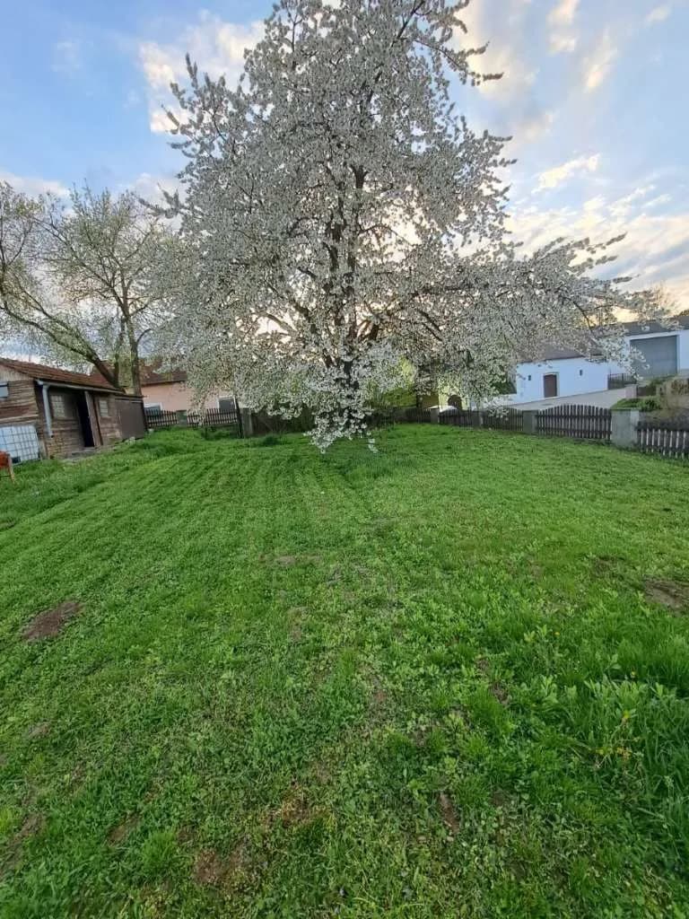 Grundstück kaufen in Hollabrunn – 412 m², € 92.000 – Bild 11 von 13