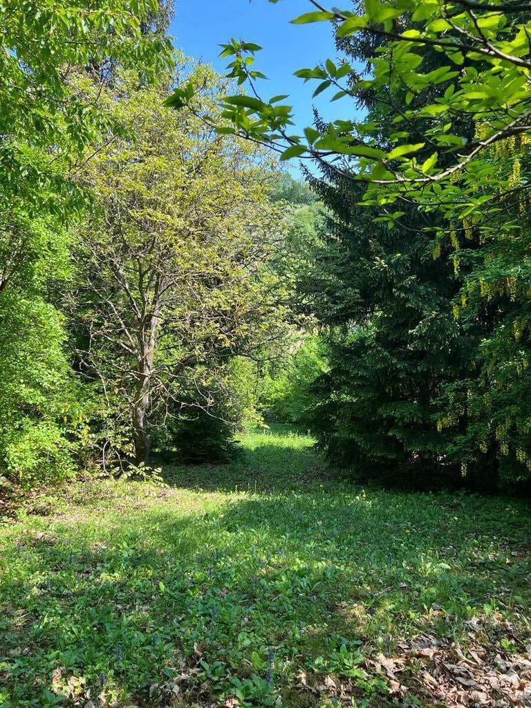 Grundstück kaufen in Tulln – 1 350 m², € 399.000 – Bild 5 von 9