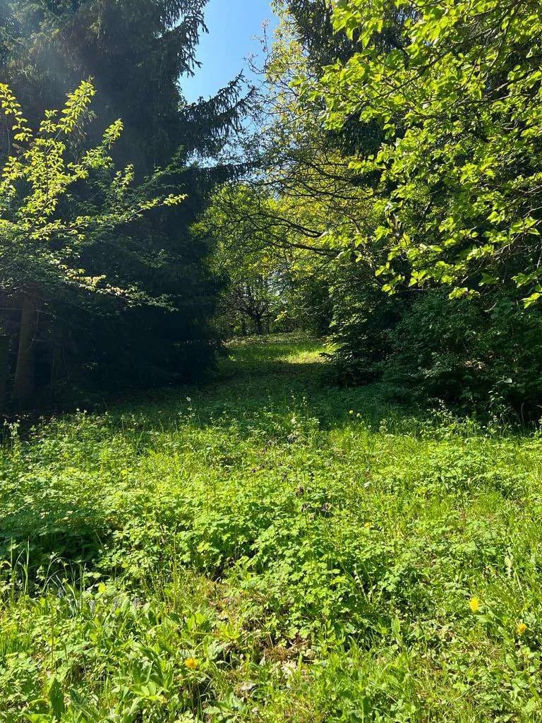 Grundstück kaufen in Tulln – 1 350 m², € 399.000 – Bild 7 von 9