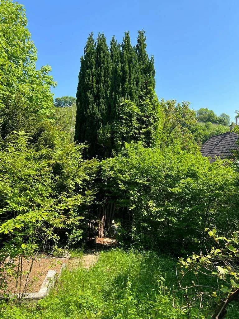 Grundstück kaufen in Tulln – 1 350 m², € 399.000 – Bild 8 von 9
