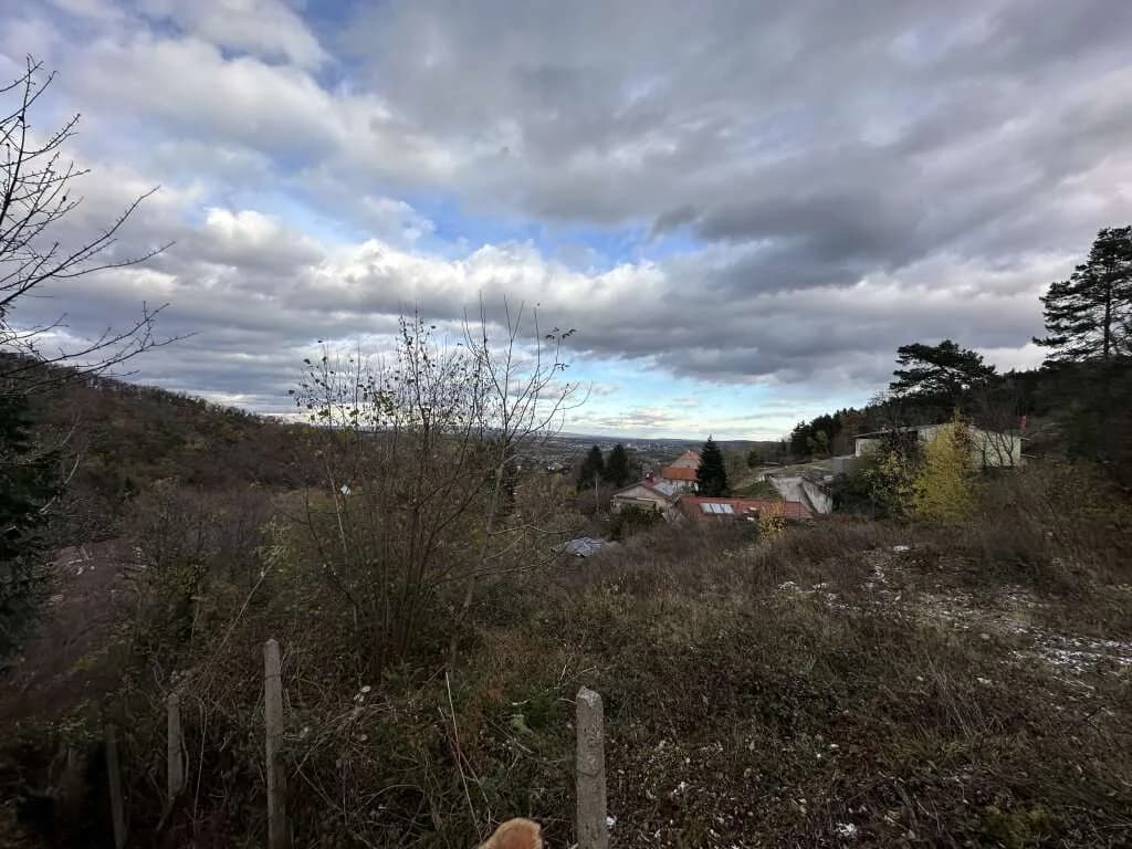 Haus kaufen in Mattersburg – 810 m², € 69.500 – Bild 10 von 28