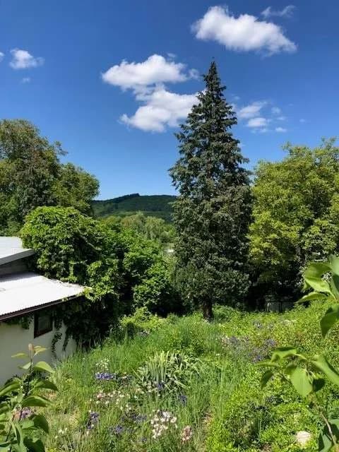 Grundstück kaufen in Mödling – 895 m², € 359.000 – Bild 2 von 13