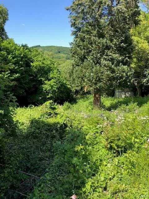 Grundstück kaufen in Mödling – 895 m², € 359.000 – Bild 5 von 13