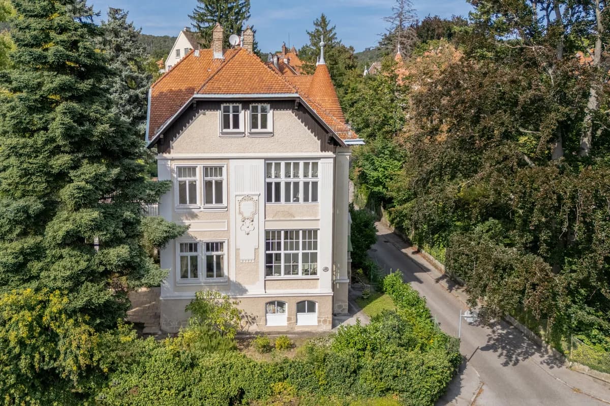 8-Zimmer-Immobilie kaufen in Baden – 261,74 m², € 1.890.000 – Bild 3 von 31