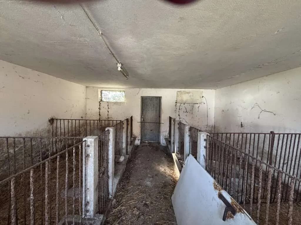 2-Zimmer-Immobilie kaufen in Südoststeiermark – 71 m², € 299.000 – Bild 12 von 16