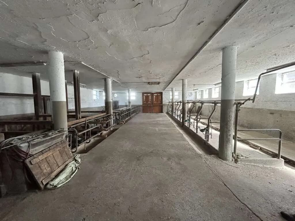 Gewerbeimmobilie mieten in Freistadt – 395 m², € 4 – Bild 7 von 11