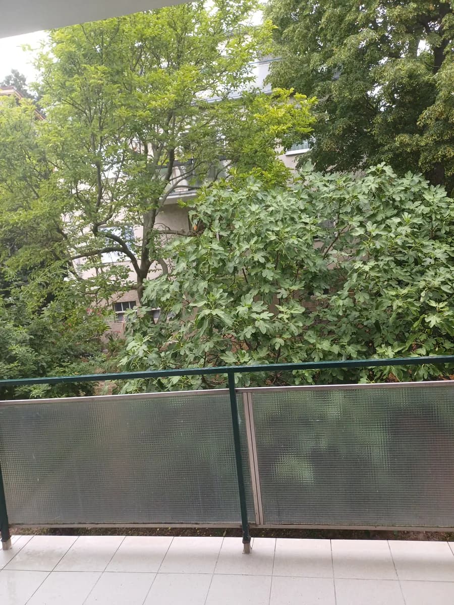 4-Zimmer-Wohnung mieten in Wien – 112 m², € 1.650 – Bild 21 von 21