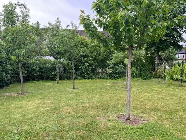 Grundstück kaufen in Wien – 1 026 m², € 1.950.000 – Bild 9 von 10
