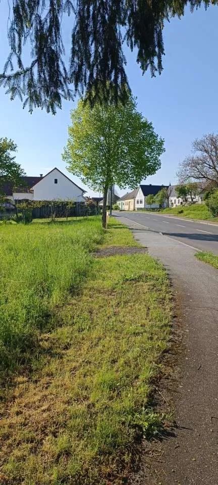 Grundstück kaufen in Jennersdorf – 1 347 m², € 49.000 – Bild 3 von 6