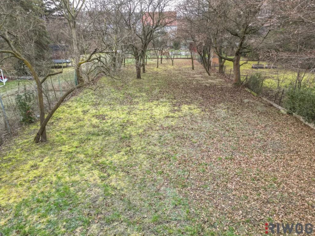 Immobilie mieten in Korneuburg – € 220 – Bild 3 von 7