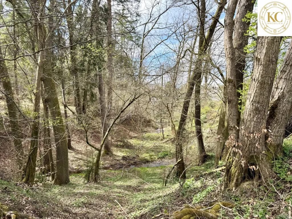 Grundstück kaufen in Graz – 2 753 m², € 549.000 – Bild 4 von 7