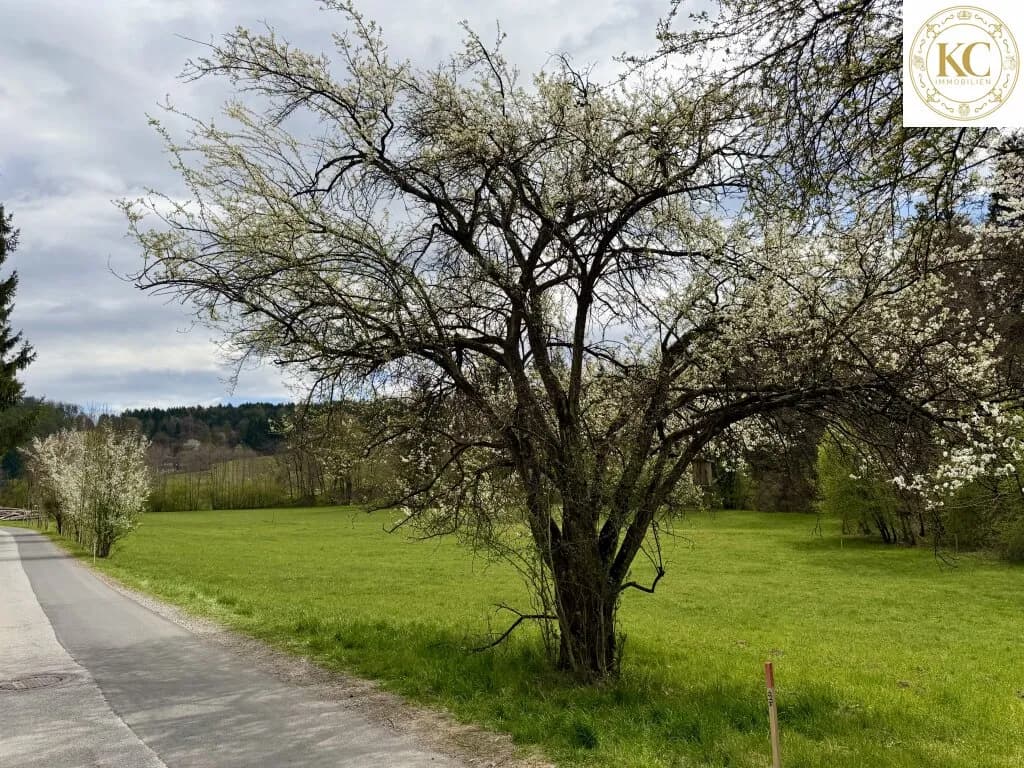 Grundstück kaufen in Graz – 800 m², € 280.000 – Bild 2 von 8