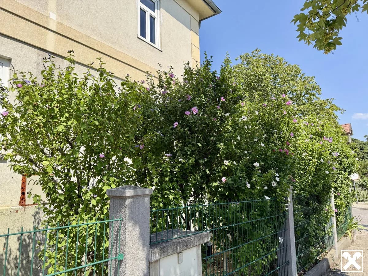 2-Zimmer-Wohnung mieten in Baden – 48 m², € 537 – Bild 6 von 7