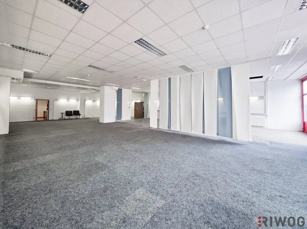Gewerbeimmobilie mieten in Mödling – 211 m², € 2.653 – Bild 5 von 5