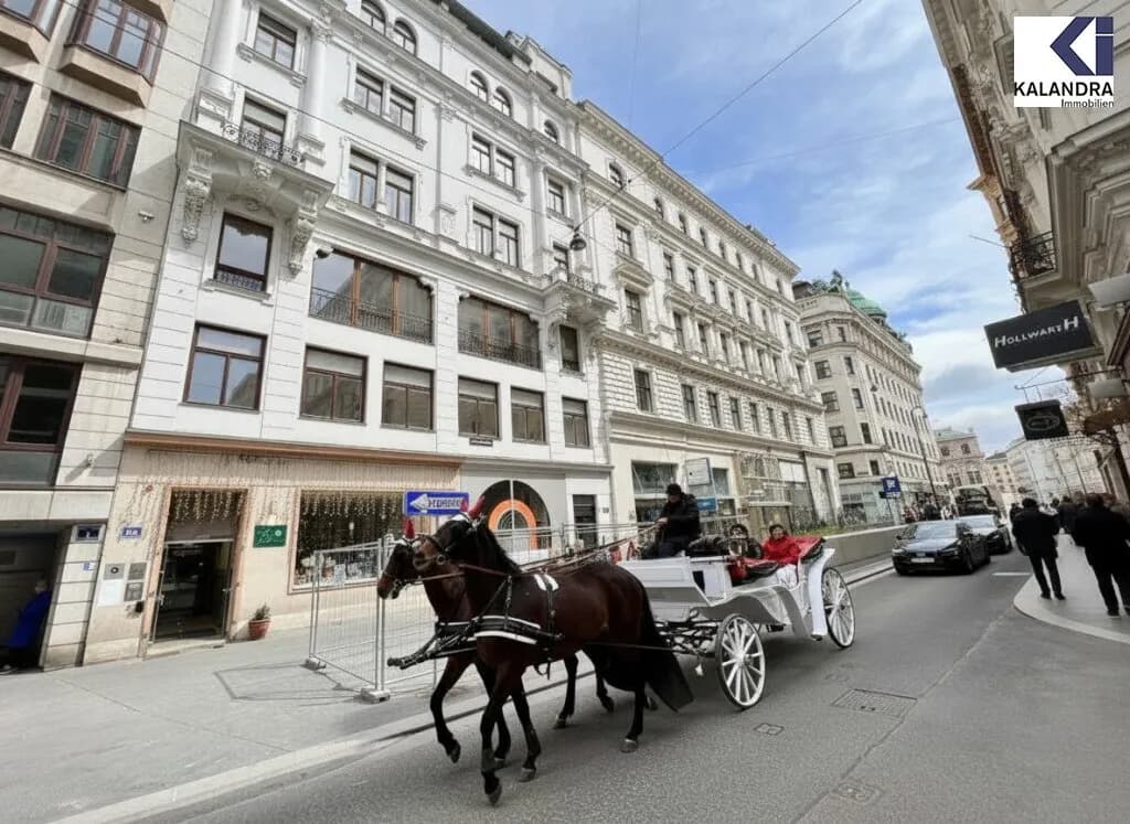 5-Zimmer-Gewerbeimmobilie mieten in Wien – 168 m², € 3.759 – Bild 11 von 12