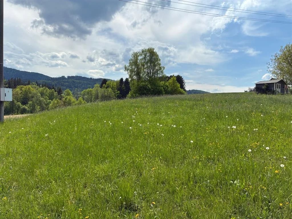 Grundstück kaufen in Vöcklabruck – 919 m²