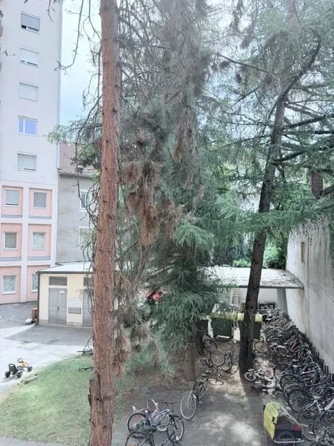 2-Zimmer-Wohnung kaufen in Graz – 58 m², € 149.000 – Bild 12 von 15