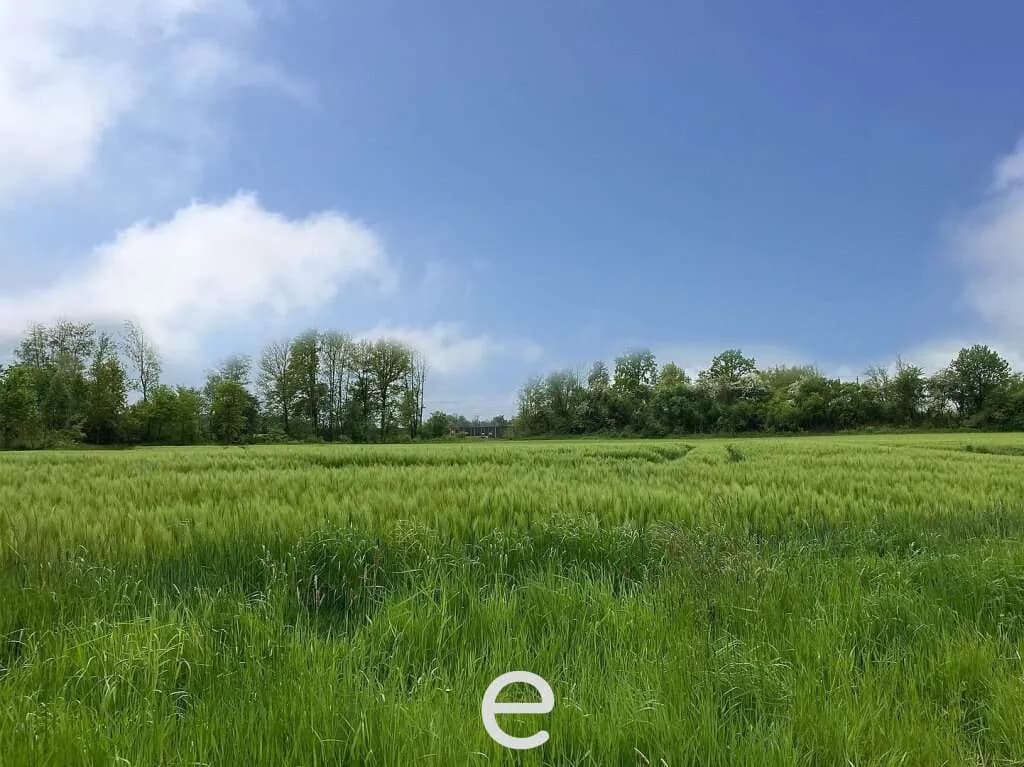 Grundstück kaufen in Schärding – 924 m², € 50.820