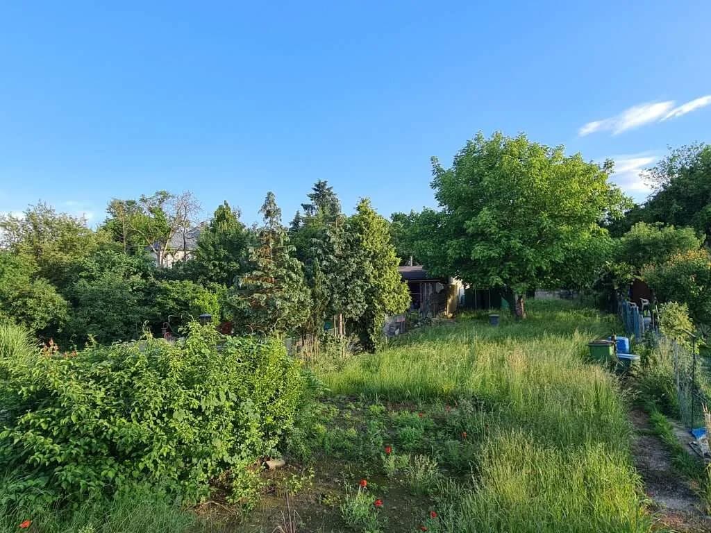 Immobilie kaufen in Wien – 457 m², € 349.750 – Bild 6 von 7