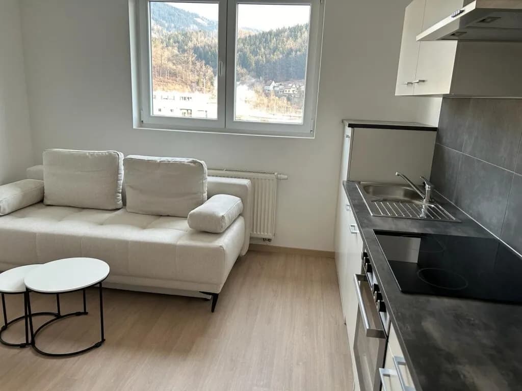 1-Zimmer-Wohnung mieten in Leoben – 38 m², € 438 – Bild 3 von 7
