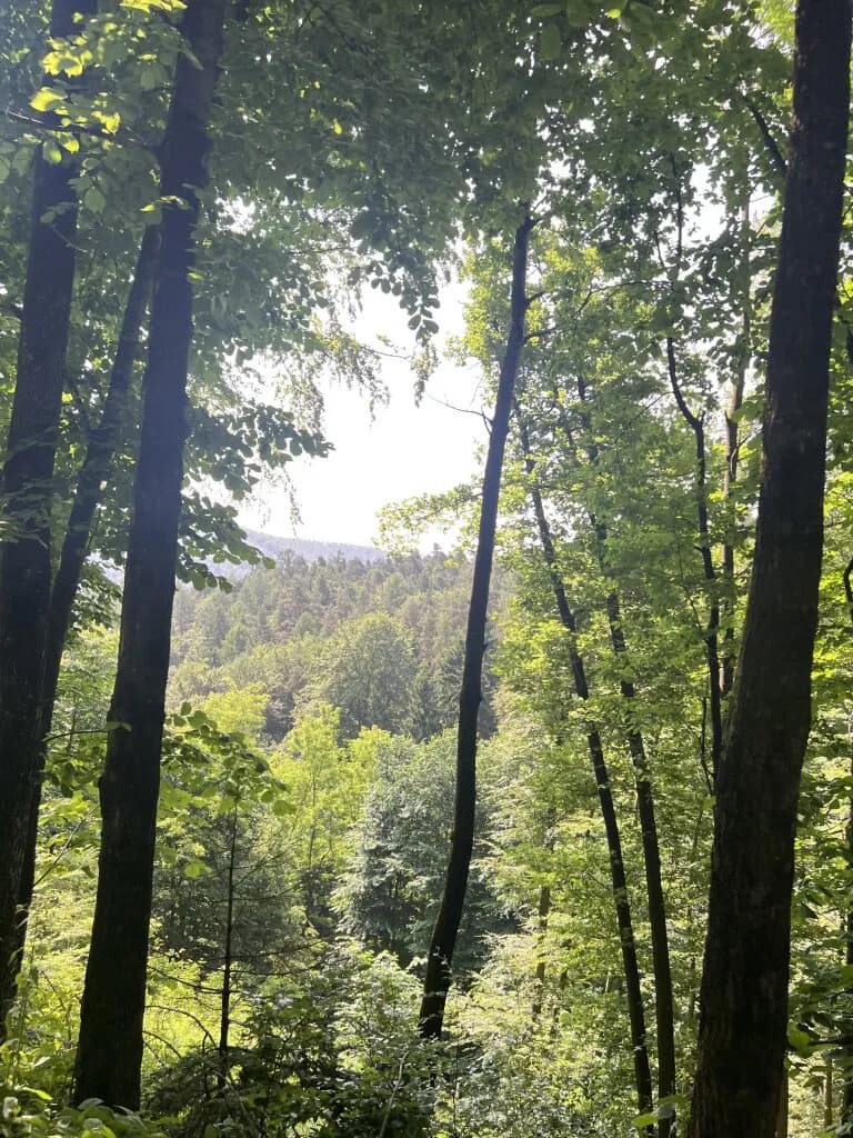 Immobilie kaufen in Graz-Umgebung – 800 m² – Bild 4 von 4