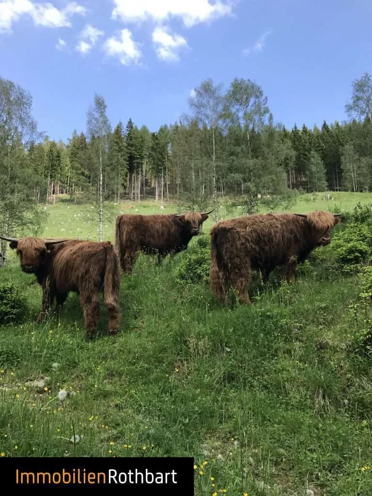 Grundstück kaufen in Bruck-Mürzzuschlag