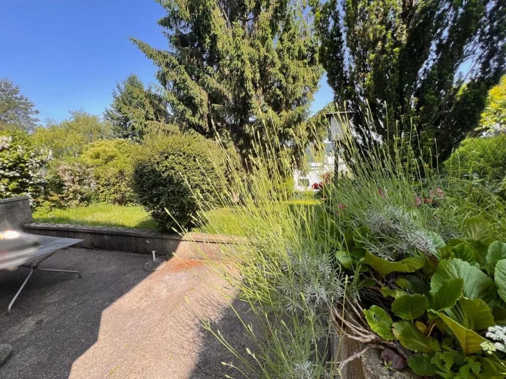 4-Zimmer-Haus mieten in Wien – 75 m², € 995 – Bild 9 von 17