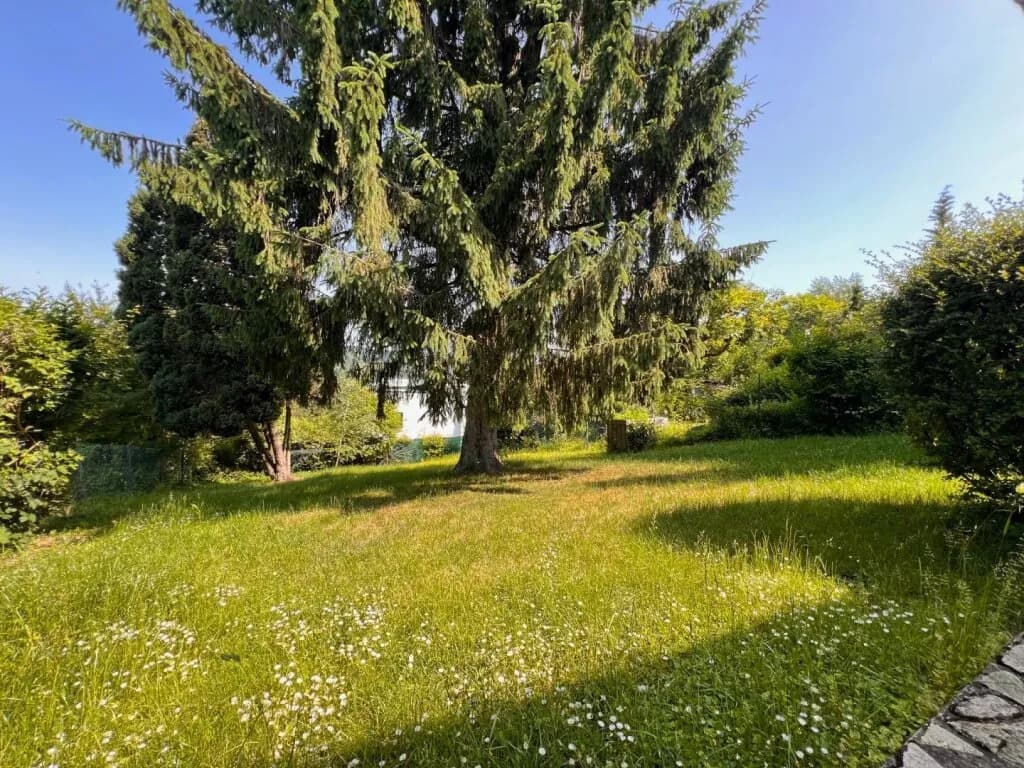 4-Zimmer-Haus mieten in Wien – 75 m², € 995 – Bild 10 von 17