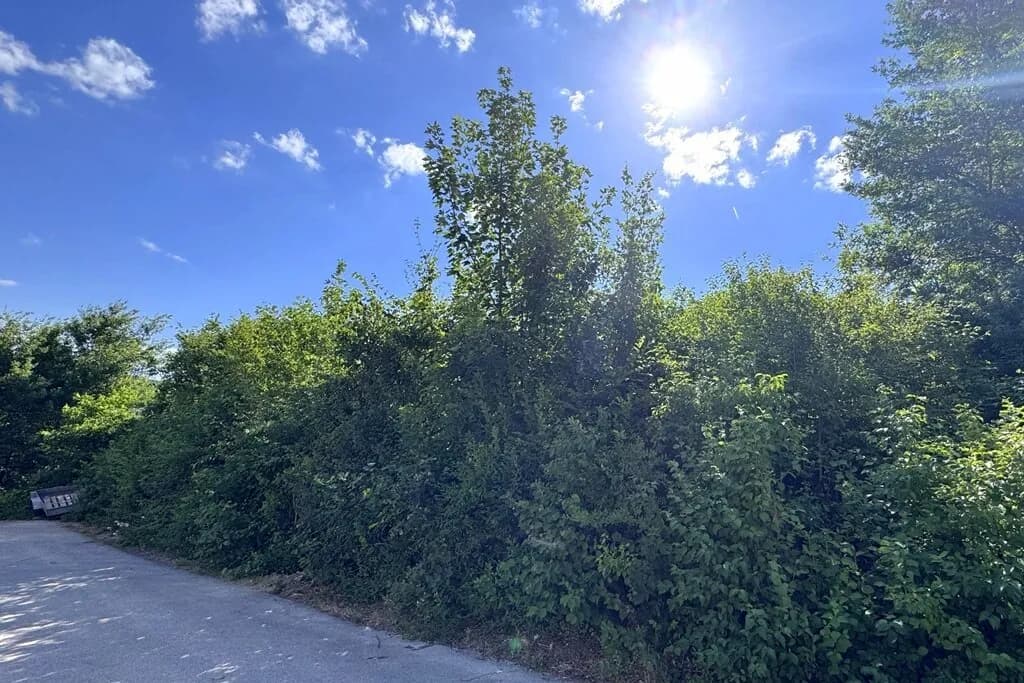 Grundstück kaufen in Sankt Pölten Land – 735 m², € 275.000 – Bild 2 von 8