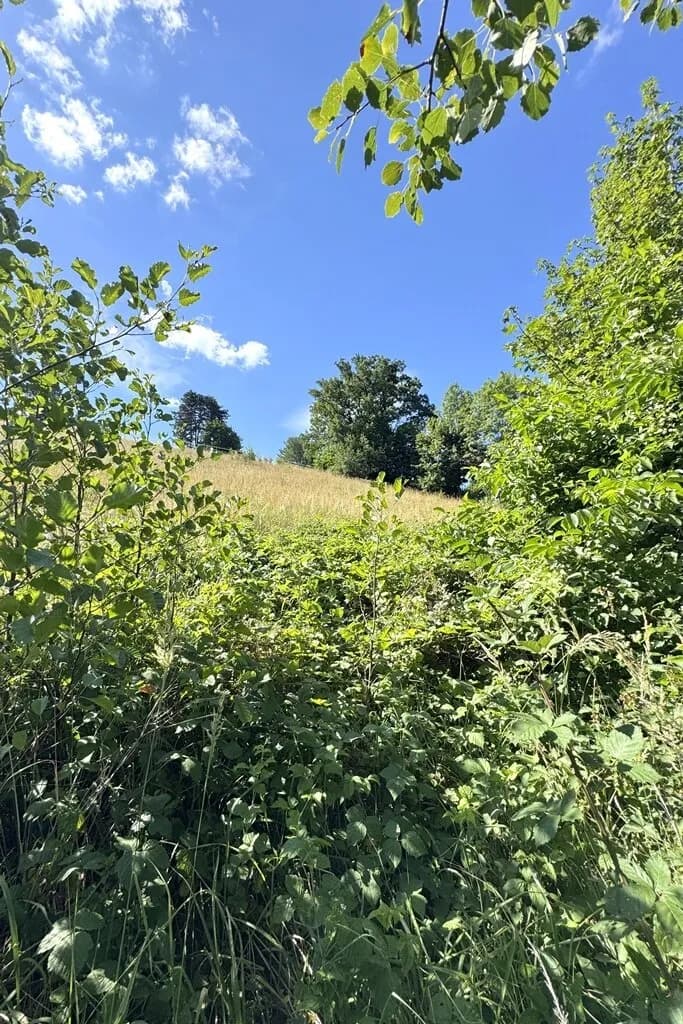 Grundstück kaufen in Sankt Pölten Land – 735 m², € 275.000 – Bild 3 von 8
