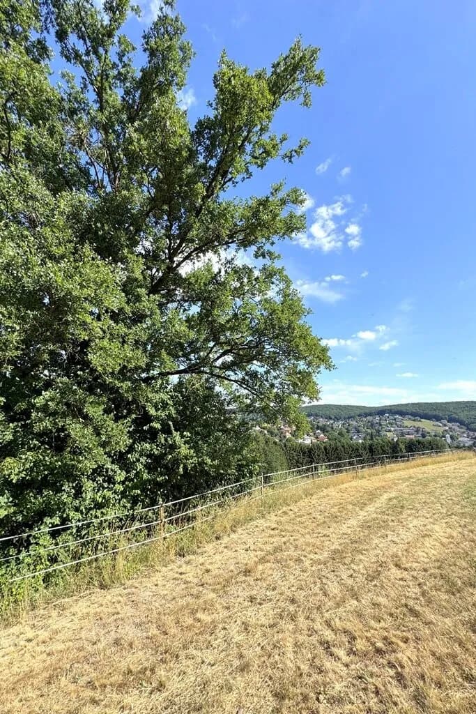 Grundstück kaufen in Sankt Pölten Land – 735 m², € 275.000 – Bild 7 von 8