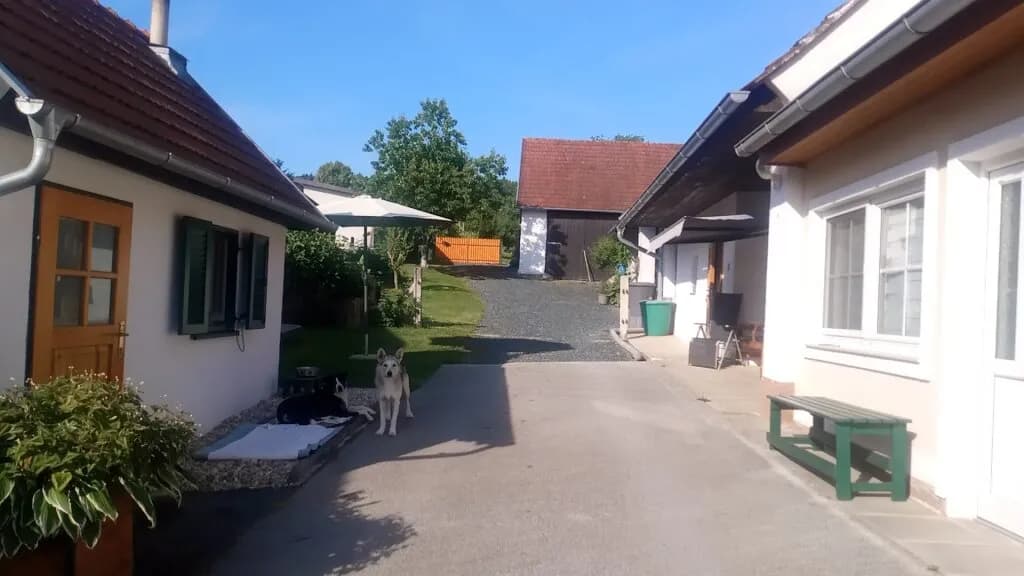3-Zimmer-Haus kaufen in Oberwart – 65 m², € 219.000 – Bild 4 von 40