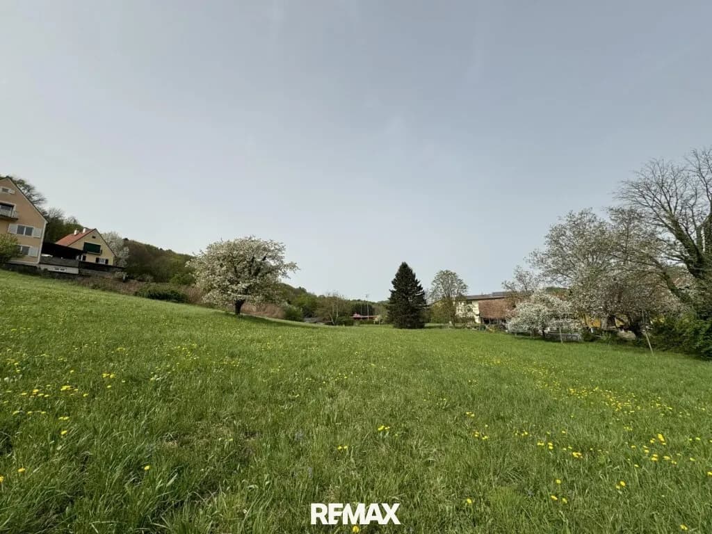 Grundstück kaufen in Südoststeiermark – 9 385 m², € 342.000 – Bild 4 von 13