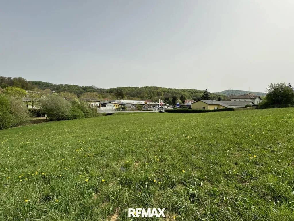 Grundstück kaufen in Südoststeiermark – 9 385 m², € 342.000 – Bild 5 von 13