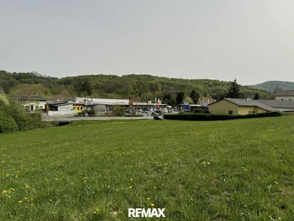 Grundstück kaufen in Südoststeiermark – 9 385 m², € 342.000 – Bild 6 von 13